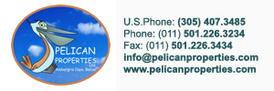 pelican properties